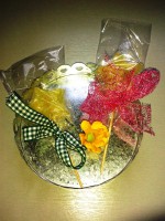 /album/galeria-de-fotos-de-nuestro-catalogo/pirus-jpg/